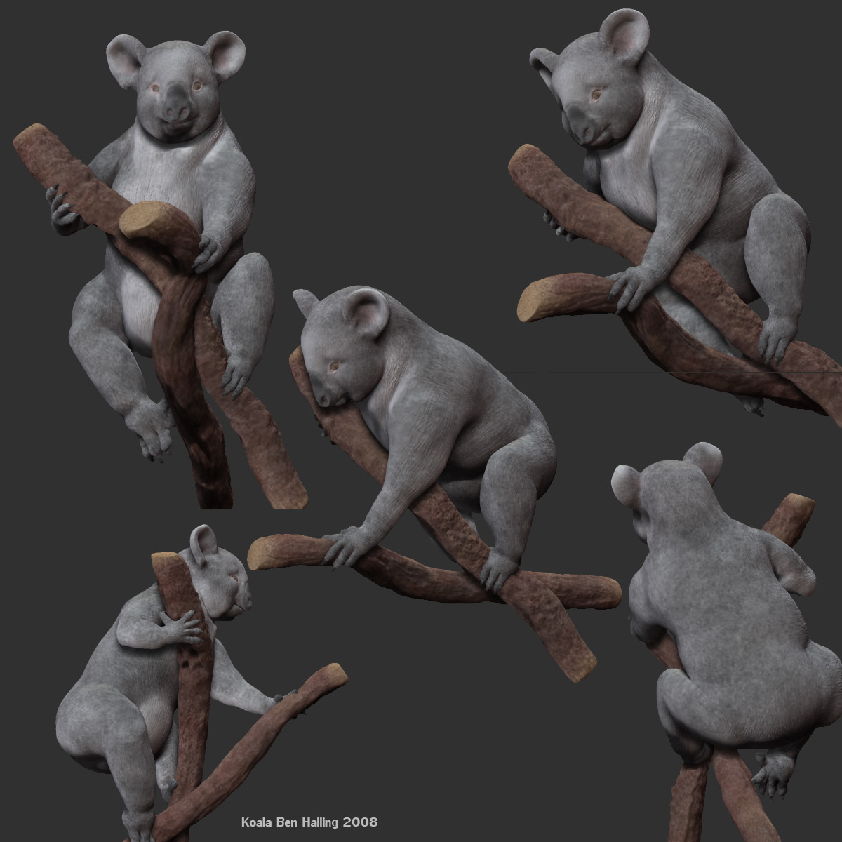 3D Sculpting Workshop - ANIMAL IN REPOSE 